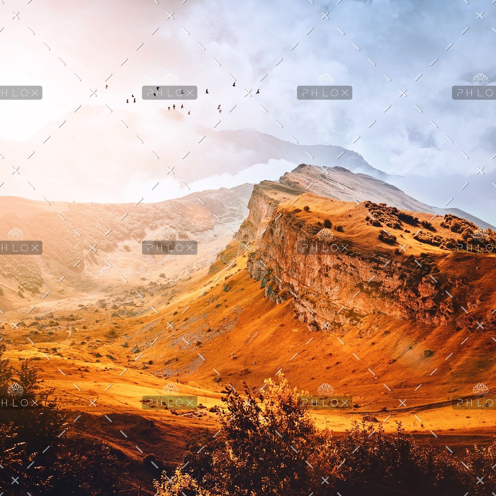 demo-attachment-47-rauf-mekhraliev-1099154-unsplash